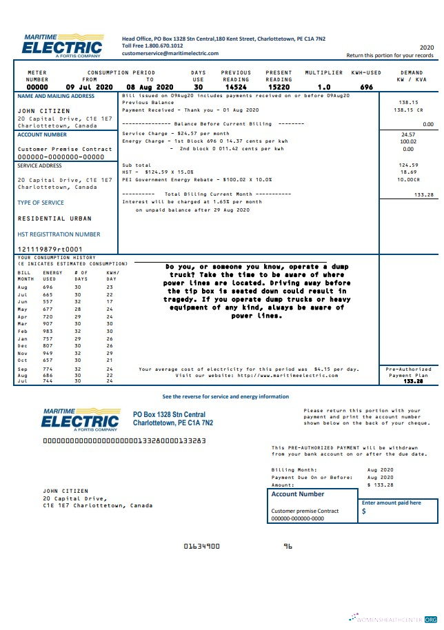 download download Canada Maritime Electric utility bill template in Word and PDF format PDF template PDF template